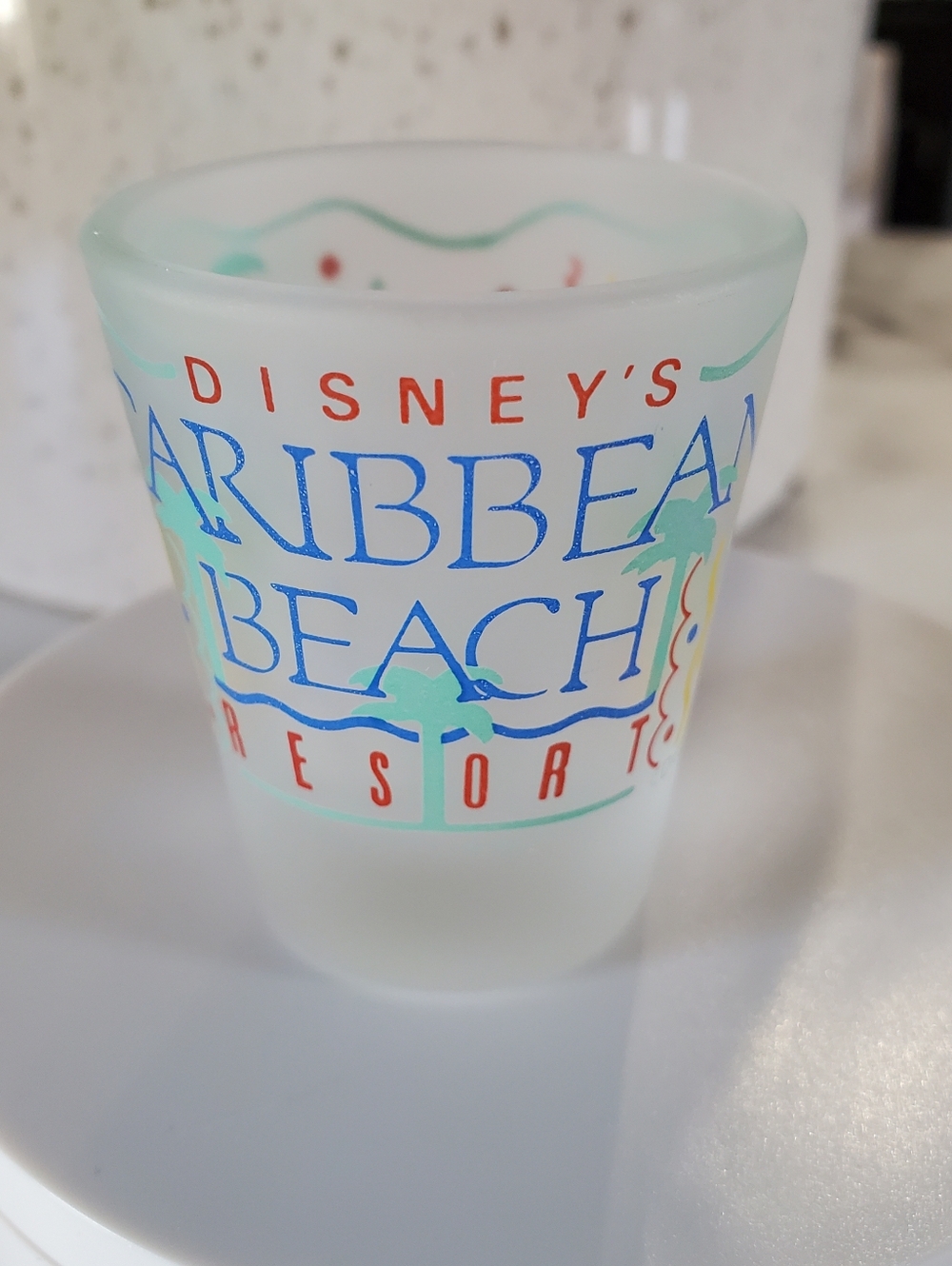 Vintage Disney World Caribbean Beach Resort Frosted Shot Glass